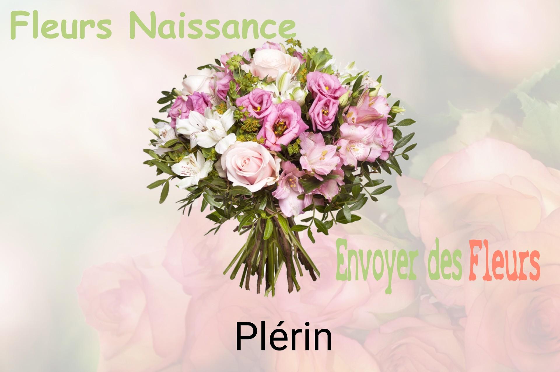 Bouquet de fleurs de naissance livré à Plérin